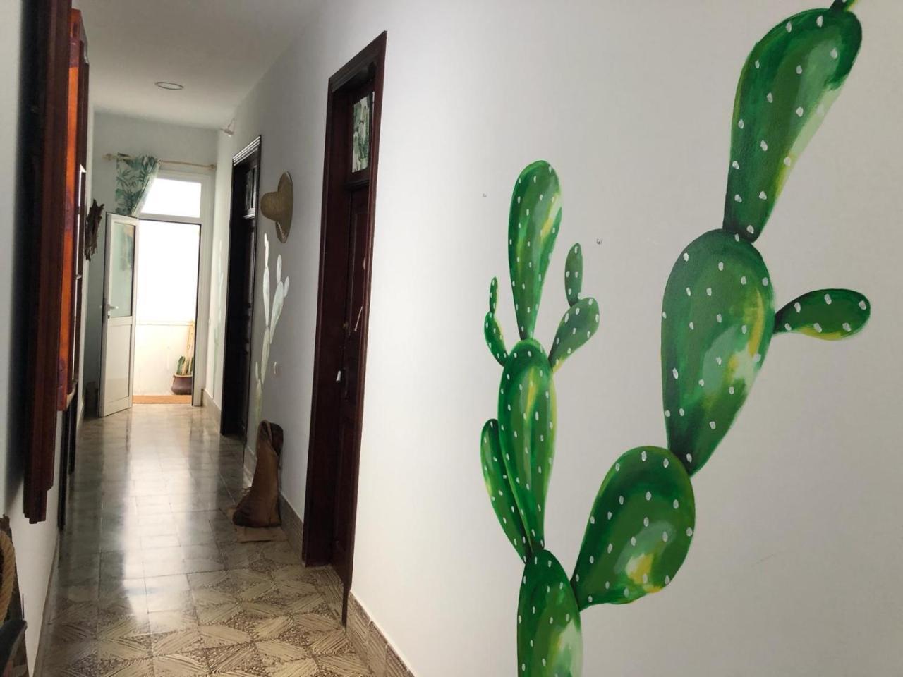 大加那利岛拉斯帕尔马斯 Cactus Host旅舍 外观 照片